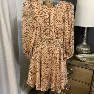 Fall balloon sleeve lined dress.